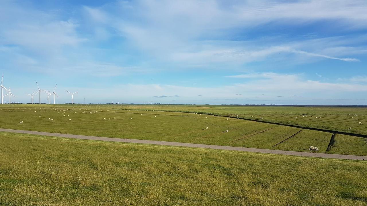 Wohnmobilstellplatz Hemenswarft an der Nordsee - Meerblick Emmelsbüll-Horsbüll Buitenkant foto